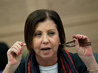 Поднять голову левого лагеря. Интервью с Заавой Гальон