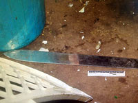 Иностранному рабочему из Таиланда предъявят обвинение в убийстве с помощью мачете