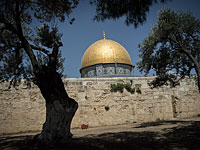 Американские конгрессмены пытались унести оливковую ветвь с Храмовой горы