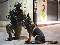 Палестинец, искусанный собакой ЦАХАЛ,  подал в суд на голландскую компанию