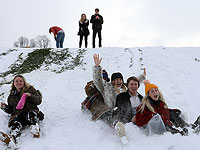 В купальниках и на санях: британцы подружились со 