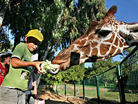 По случаю Пурима в