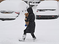 На Соединенное Королевство обрушился зимний шторм  